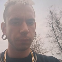 The Stoned Psylosopher MIX and LIVE