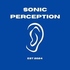 sonic perception