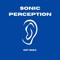 sonic perception