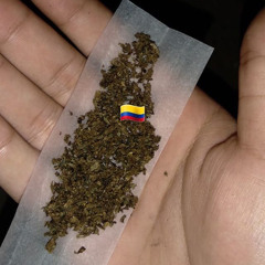 DORIGAS