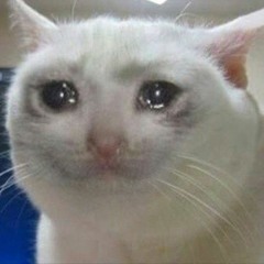 SaddCatt