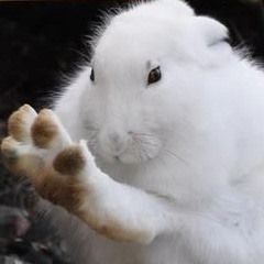‎ ‎nooneisreal