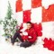 Hany Qassem