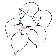 Reborn Kitty
