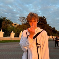 BLES$SKID