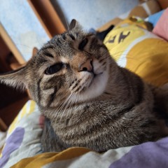 ☆