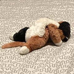 Jean-Pierre Marcillac