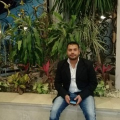 محمد منصور