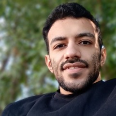 Alhussien Raafat