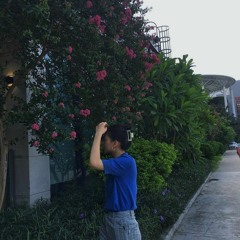 nglinh.