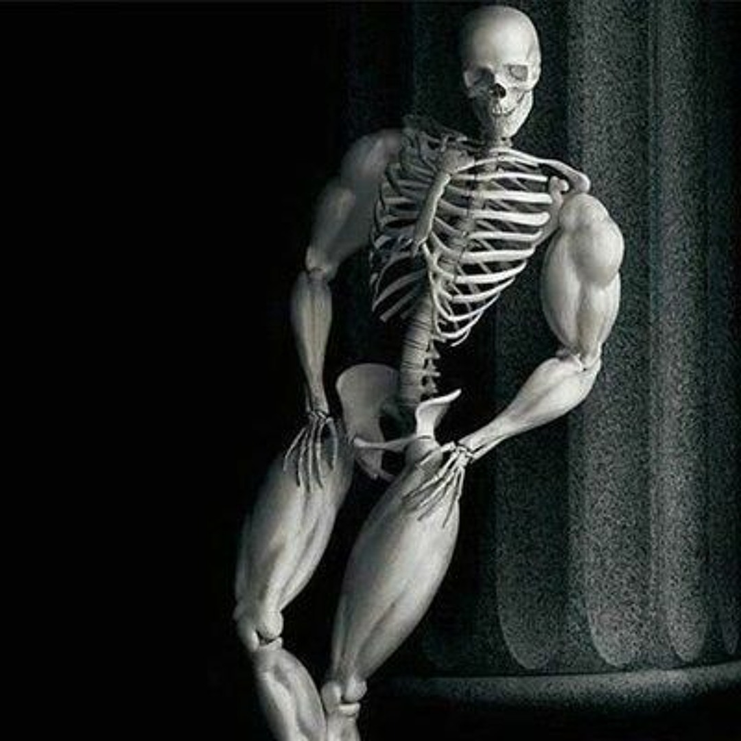 Skeleboner discount