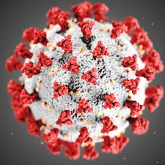 Covid-19 remix by Adam LWO