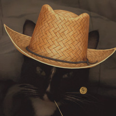 BanditoTx
