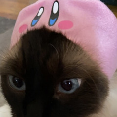 luna