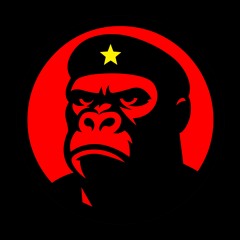 Guerrilla Vision Records