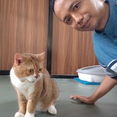Tantan Darmakusumah