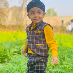 Pardeep zaiea