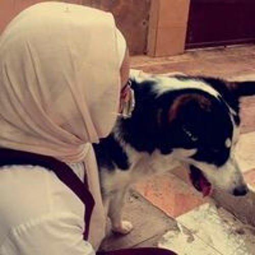 Lobna Mahmoud’s avatar