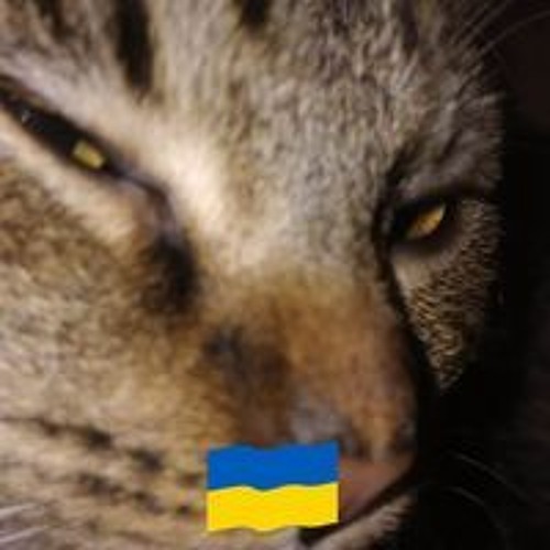 Каміла Войцеховська’s avatar
