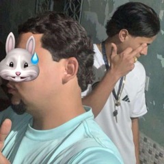 novinho7