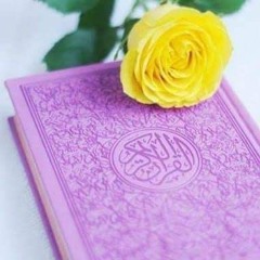 عمرو الأنور