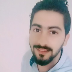 Hassan Elshayb