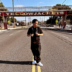 Jacoby 2007