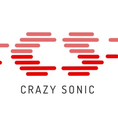 Crazy Sonic