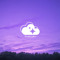 violetssky