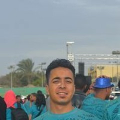 Ahmed A Fathy