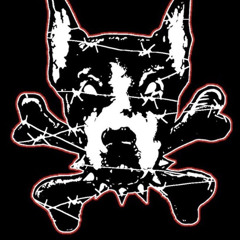 Cerberus