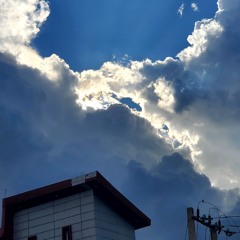 skies