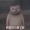 我尼玛人傻了都