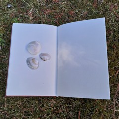 Grønlit - Ein LitOhratur-Podcast