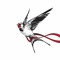 sWalloW