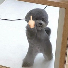 rj