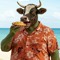 dEAdbEEF314