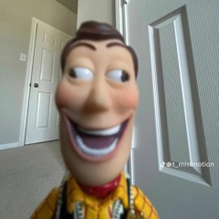 whgosdr