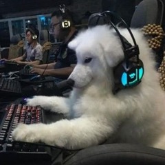 qwərty