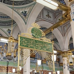 تسـنيم عمــاد الديـن 𓂆