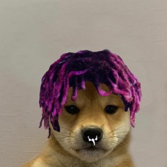 omg sushy