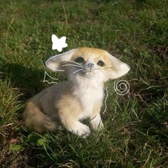 °•Ꭶᗩƚ𝚞ʀᑎ•°