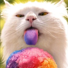 meowski808