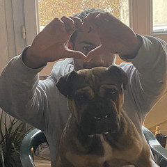 _nothedog