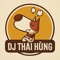 DJ Thái Hùng