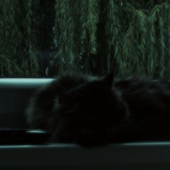 Blue_x_x
