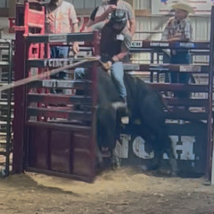 Devin jefferis