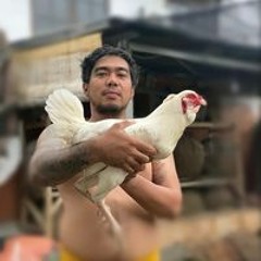 Arya Wang Bang Pinatih