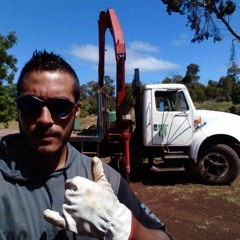 Rene Quezada Ika