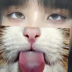 thuytrang